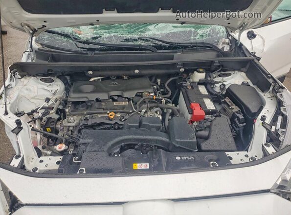 2T3P1RFV2NW309068 2022 TOYOTA RAV4 White Շարժիչի բաժամունքի տեսք