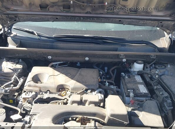 2T3P1RFV2SW553783 2025 TOYOTA RAV4 Серый Вид сзади