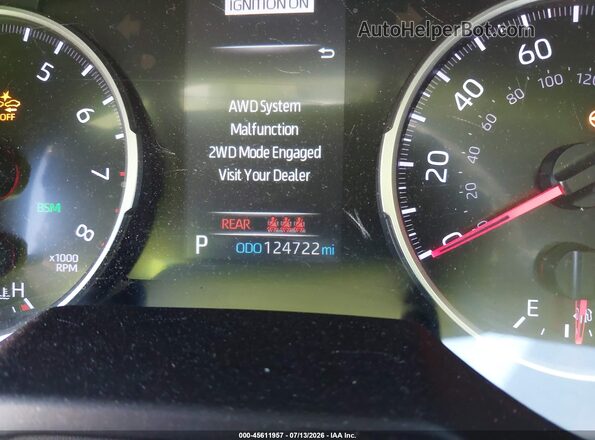2T3P1RFV3KW013035 2019 TOYOTA RAV4 Gray Vista de los asientos traseros