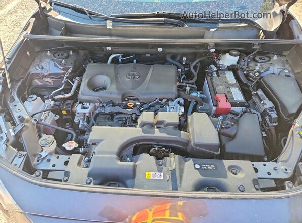 2T3P1RFV3NW293088 2022 TOYOTA RAV4 Серый Вид задней части салона