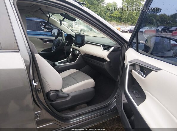 2T3P1RFV4KC052119 2019 TOYOTA RAV4 Pewter Вид салону спереду