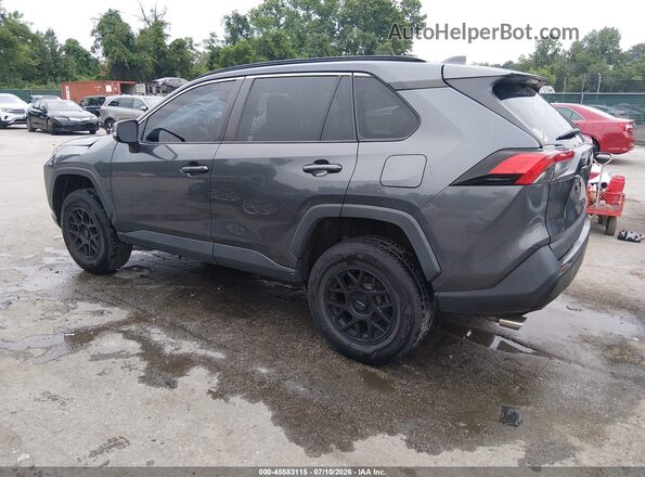 2T3P1RFV4KC052119 2019 TOYOTA RAV4 Pewter Задня ліва чверть