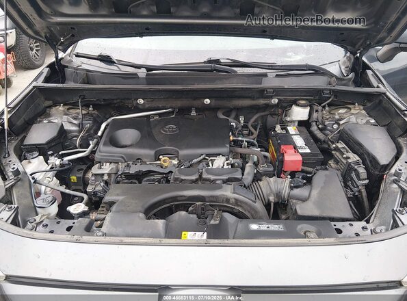 2T3P1RFV4KC052119 2019 TOYOTA RAV4 Pewter Вид ззаду