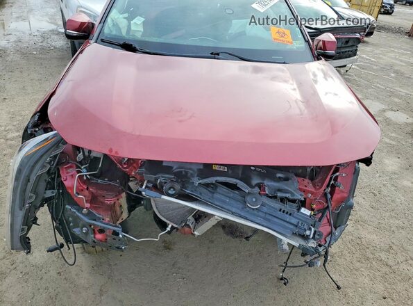 2T3P1RFV4MW198182 2021 TOYOTA RAV4 Red Вид задньої частини салону