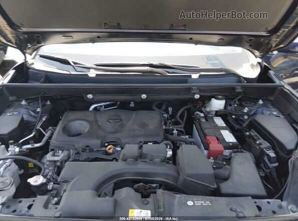 2T3P1RFV4PW334606 2023 TOYOTA RAV4 Синий Вид сзади