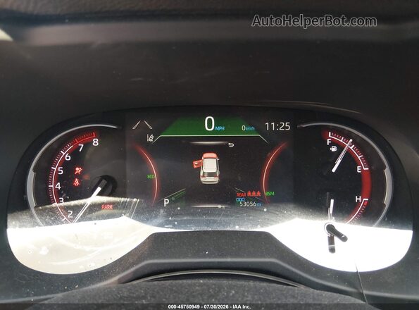 2T3P1RFV4PW334606 2023 TOYOTA RAV4 Синий Вид задних сидений