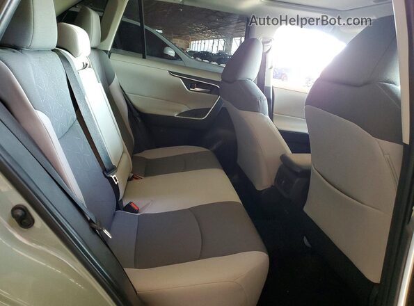 2T3P1RFV4PW397768 2023 TOYOTA RAV4 Gray Vista de los asientos traseros