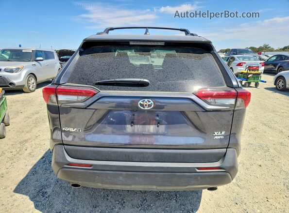 2T3P1RFV5PW369056 2023 TOYOTA RAV4 Black Widok z tyłu