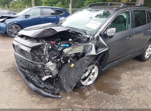 2T3P1RFV6LW134501 2020 TOYOTA RAV4 Gray Widok z przodu