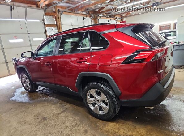 2T3P1RFV6PW335451 2023 TOYOTA RAV4 Бордовый Задняя левая четверть