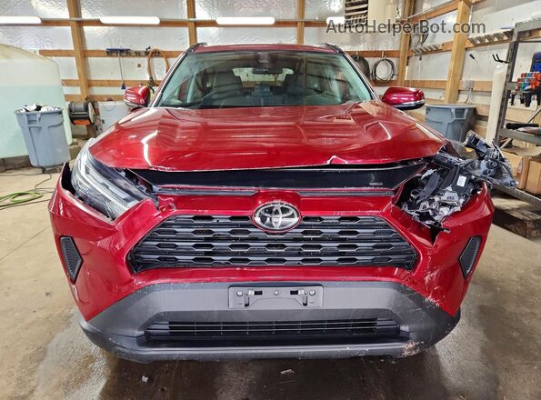 2T3P1RFV6PW335451 2023 TOYOTA RAV4 Бордовый Вид спереди