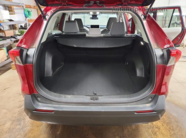 2T3P1RFV6PW335451 2023 TOYOTA RAV4 Бордовый Вид сзади
