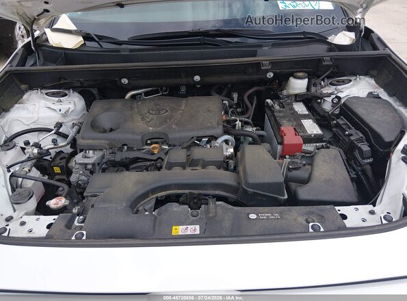 2T3P1RFV6SW524979 2025 TOYOTA RAV4 Белый Вид сзади