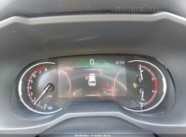 2T3P1RFV6SW620773 2025 TOYOTA RAV4 Gray Vista de los asientos traseros
