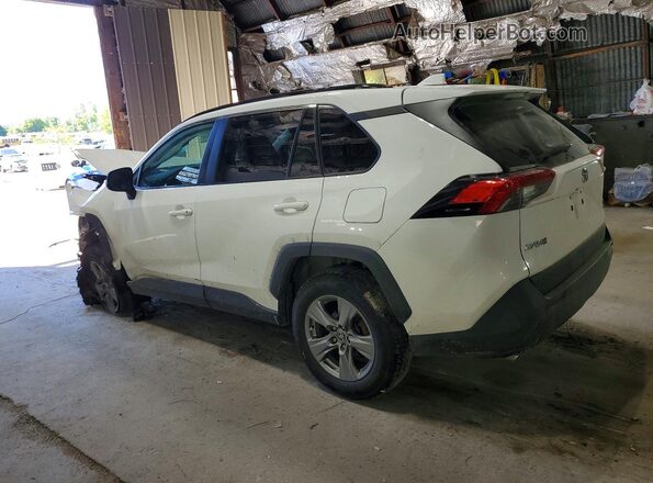 2T3P1RFV7PW374176 2023 TOYOTA RAV4 White Tył lewy