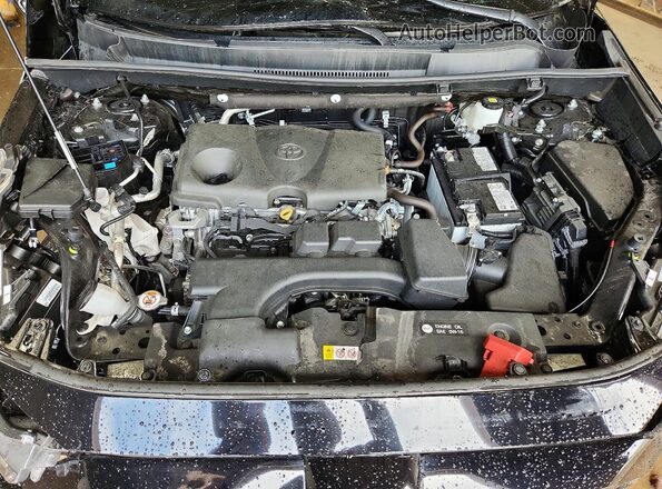 2T3P1RFV7SC515953 2025 TOYOTA RAV4 Black Widok wnętrza z tyłu