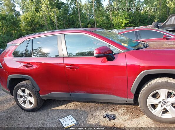 2T3P1RFV8LW126254 2020 TOYOTA RAV4 Красный Вид задней части салона
