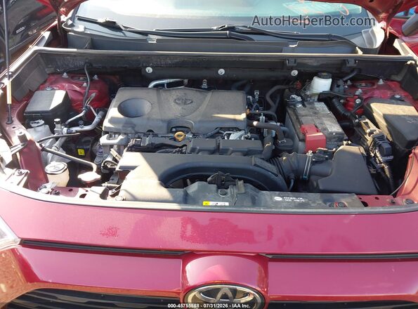 2T3P1RFV8LW126254 2020 TOYOTA RAV4 Красный Вид сзади