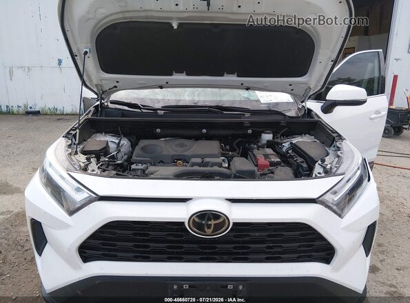 2T3P1RFV8PC333671 2023 TOYOTA RAV4 Белый Вид сзади