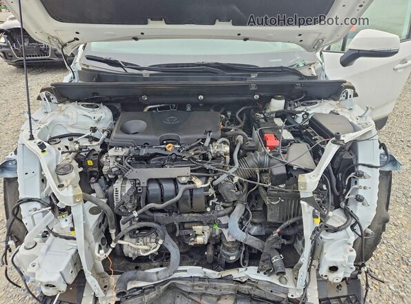2T3P1RFV8PW389849 2023 TOYOTA RAV4 White Вид задньої частини салону