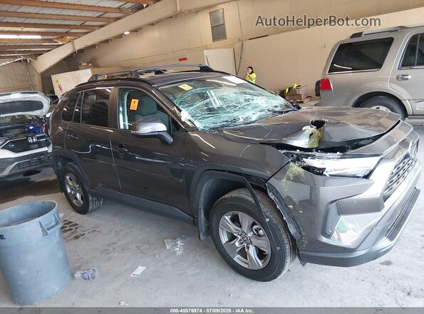 2T3P1RFV9RW469406 2024 TOYOTA RAV4 Gray Вид задньої частини салону
