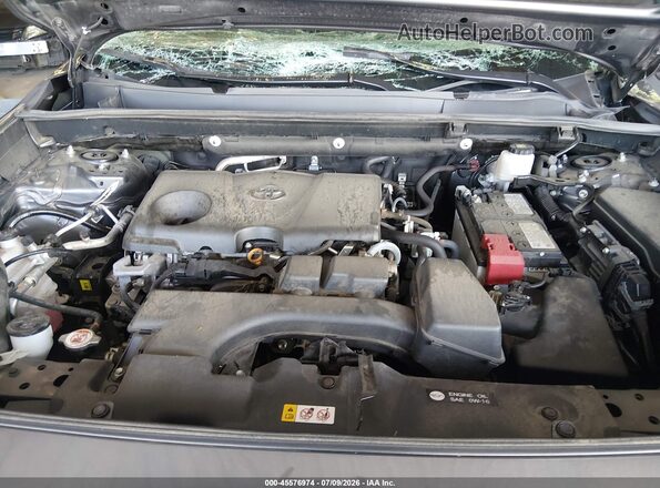 2T3P1RFV9RW469406 2024 TOYOTA RAV4 Gray Вид ззаду