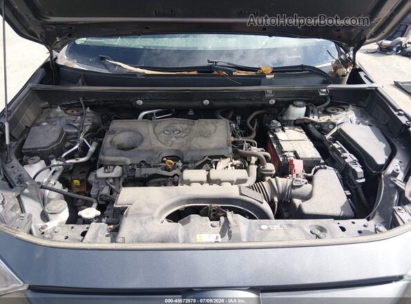 2T3P1RFVXLC124488 2020 TOYOTA RAV4 Gray Widok z tyłu