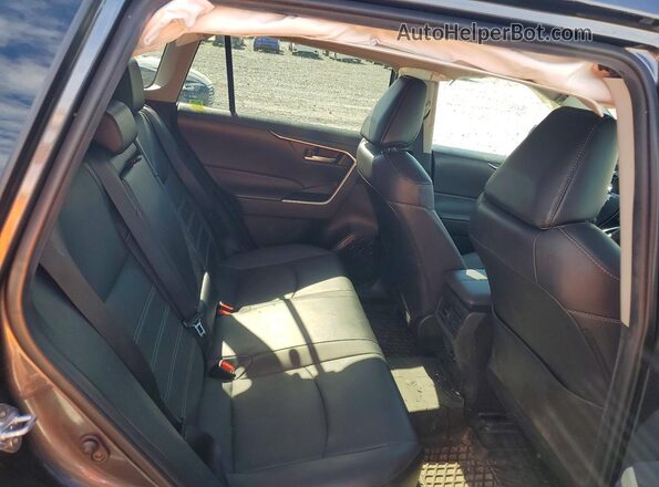 2T3R1RFV1PC371347 2023 TOYOTA RAV4 Серый Вид задней части салона