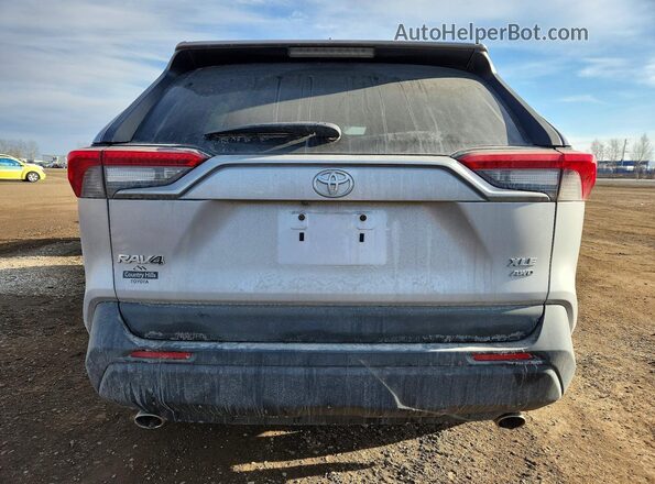2T3R1RFV4KC049259 2019 TOYOTA RAV4 Silver უკანა ხედი