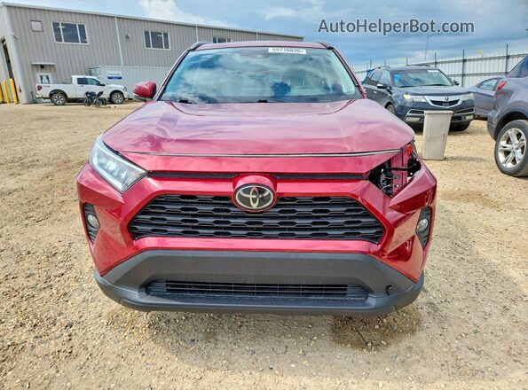 2T3R1RFV8KC035963 2019 TOYOTA RAV4 Maroon Widok z przodu