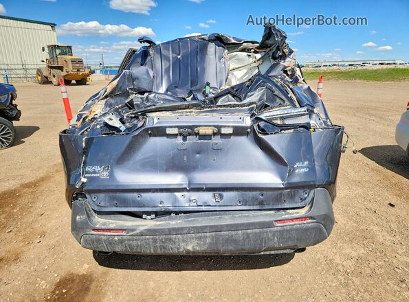 2T3R1RFVXKW073659 2019 TOYOTA RAV4 Gray უკანა ხედი