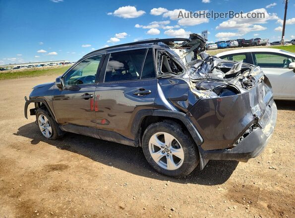 2T3R1RFVXKW073659 2019 TOYOTA RAV4 Gray უკანა მარცხენა