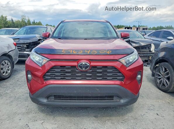 2T3R1RFVXLC104671 2020 TOYOTA RAV4 Burgundy Widok z przodu