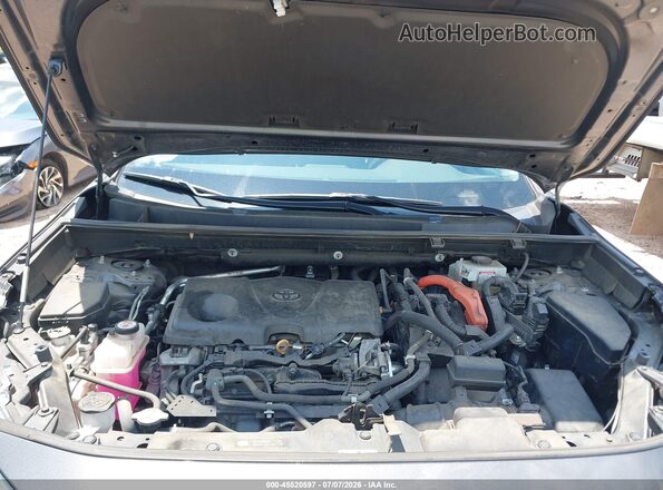 2T3R6RFV7MW016923 2021 TOYOTA RAV4 Gray Вид ззаду