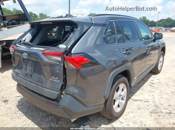 2T3R6RFV7MW016923 2021 TOYOTA RAV4 Gray Задня права чверть