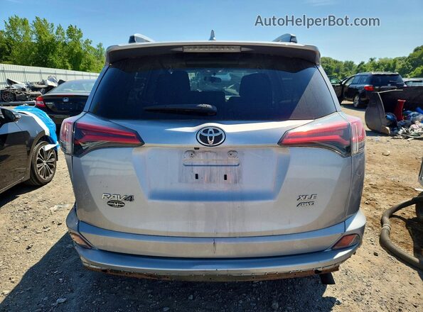 2T3RFREV1GW448929 2016 TOYOTA RAV4 Silver Вид ззаду