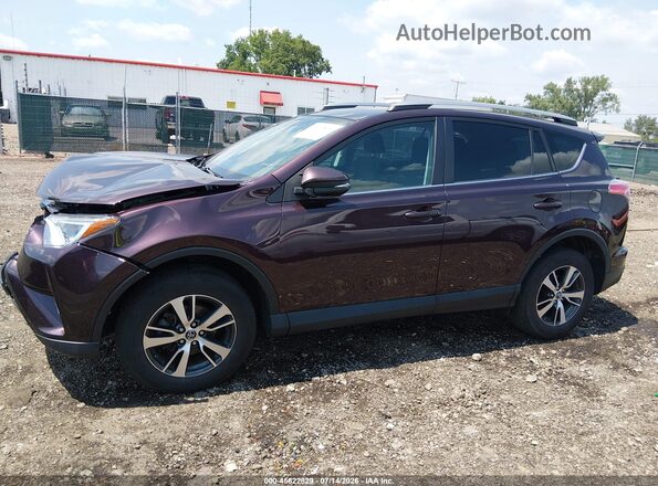 2T3RFREV1JW851994 2018 TOYOTA RAV4 Burgundy Панорамний вид салону 360°