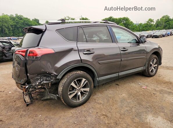 2T3RFREV2GW462323 2016 TOYOTA RAV4 Gray Задня права чверть