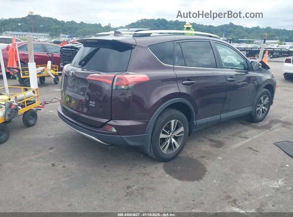 2T3RFREV2GW532600 2016 TOYOTA RAV4 Maroon Հետևի աջ