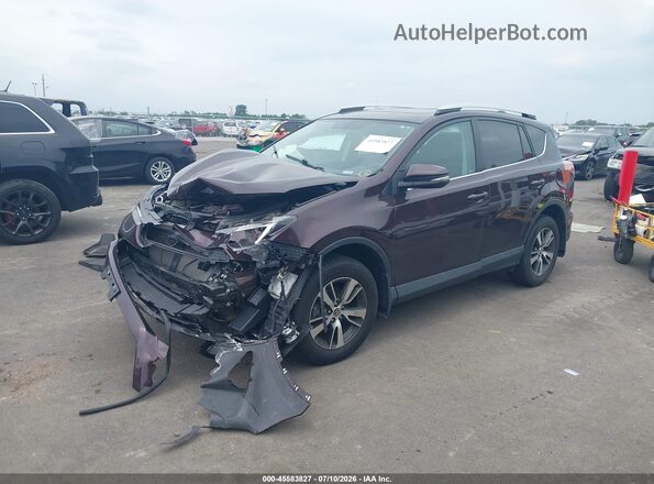 2T3RFREV2GW532600 2016 TOYOTA RAV4 Maroon Առջևի ձախ երեք քառորդ տեսարան