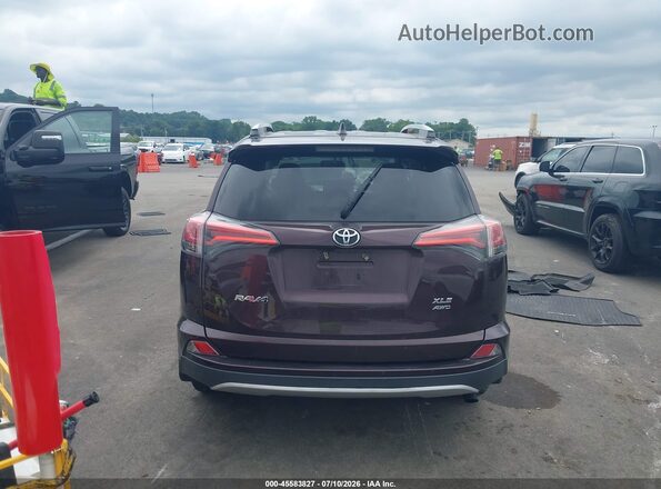 2T3RFREV2GW532600 2016 TOYOTA RAV4 Maroon 