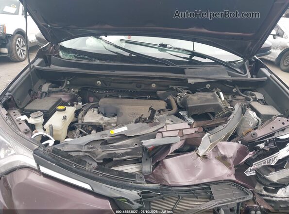 2T3RFREV2GW532600 2016 TOYOTA RAV4 Maroon Հետևի տեսք