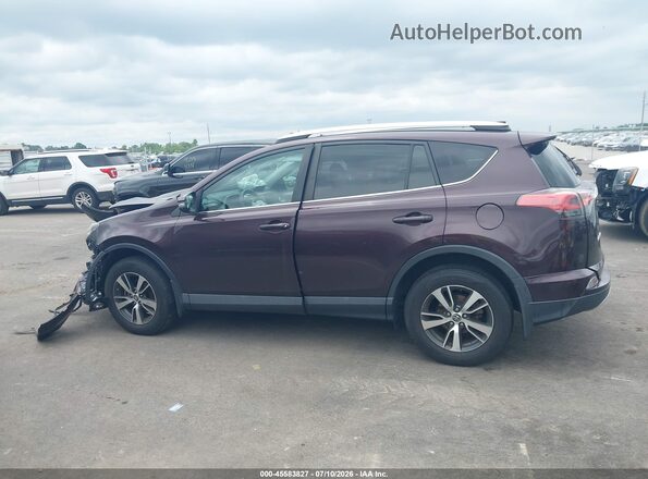 2T3RFREV2GW532600 2016 TOYOTA RAV4 Maroon Սալոնի 360 աստիճան տեսք