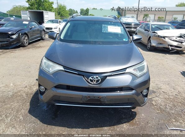 2T3RFREV5GW453146 2016 TOYOTA RAV4 Gray Սալոնի հետևի տեսք