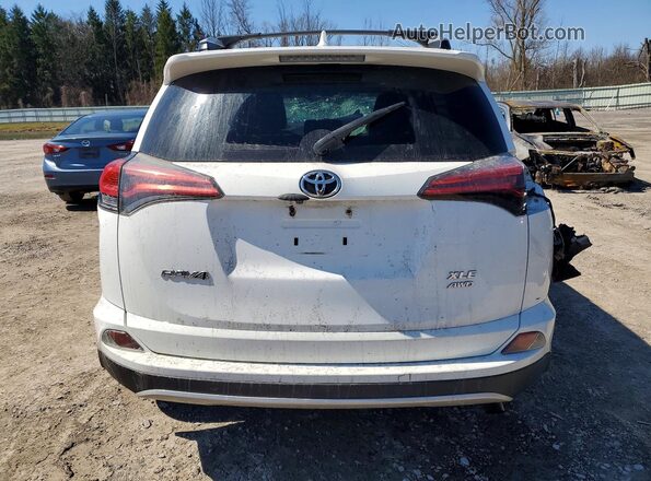 2T3RFREV5GW482680 2016 TOYOTA RAV4 White Вид ззаду