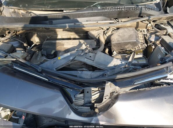 2T3RFREV6GW491565 2016 TOYOTA RAV4 Gray Widok z tyłu