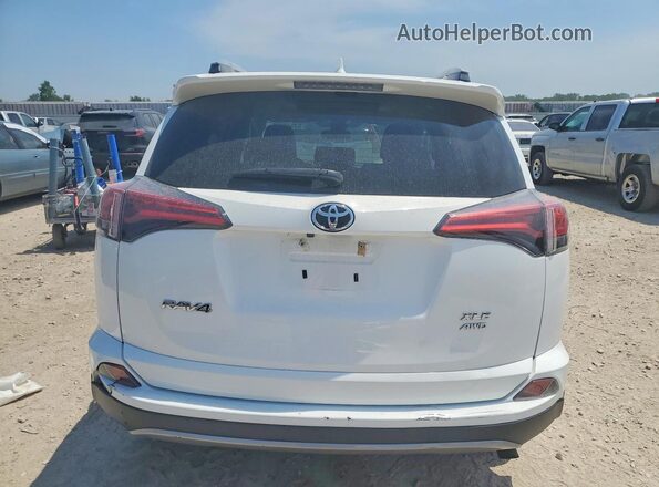 2T3RFREV6HW666382 2017 TOYOTA RAV4 Белый Вид сзади