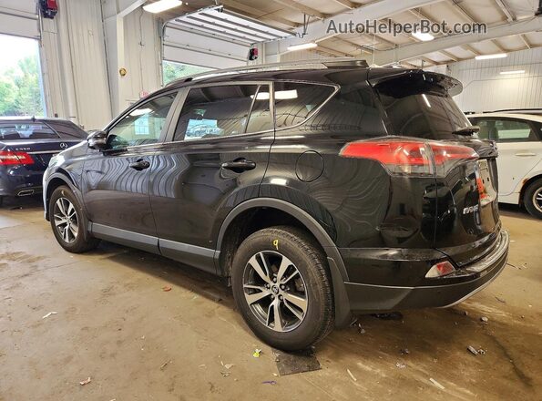 2T3RFREV7HW675981 2017 TOYOTA RAV4 Black Tył lewy