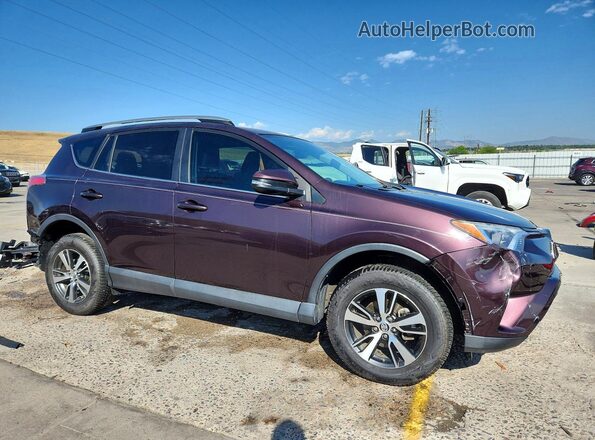 2T3RFREV8HW589904 2017 TOYOTA RAV4 Purple Առջևի աջ