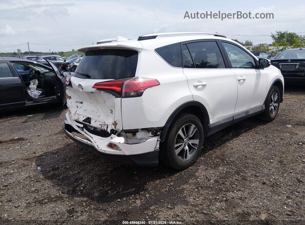 2T3RFREVSHW612944 2017 TOYOTA RAV4 White Հետևի աջ